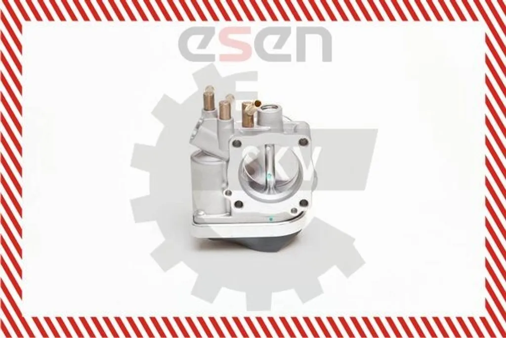 Supprimer voyant moteur VW avec le papillon des gaz 12SKV032 SKV