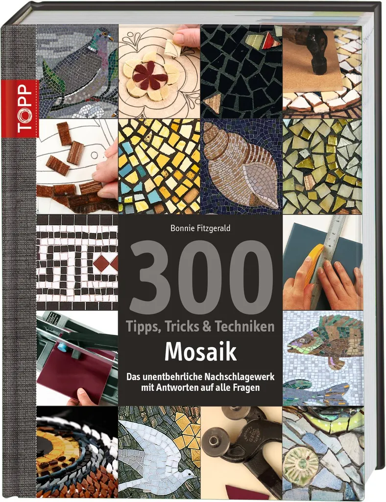 Livre Mosaïque 300 Conseils Astuces et Techniques pour Créations Art
