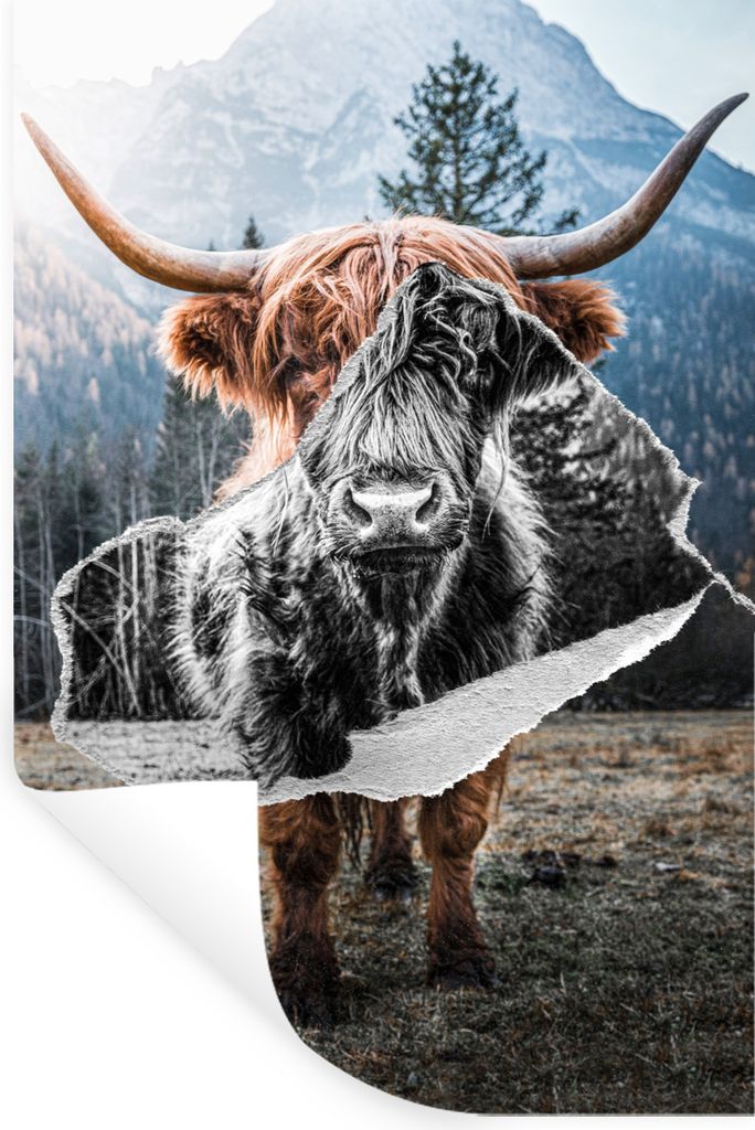MuchoWow Wandtattoo Wandsticker Wandaufkleber Scottish Highlander - Schwarz - Weiß 40x60 cm Selbstklebend und Repositionierbar - Wierderverwendb...