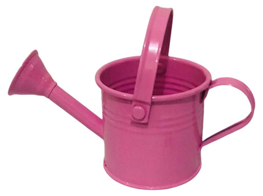 Dekorativer Blumentopf aus verzinktem Eisen mit bruchsicherem Öffnungsdesign – ideal für Zuhause und den Garten.