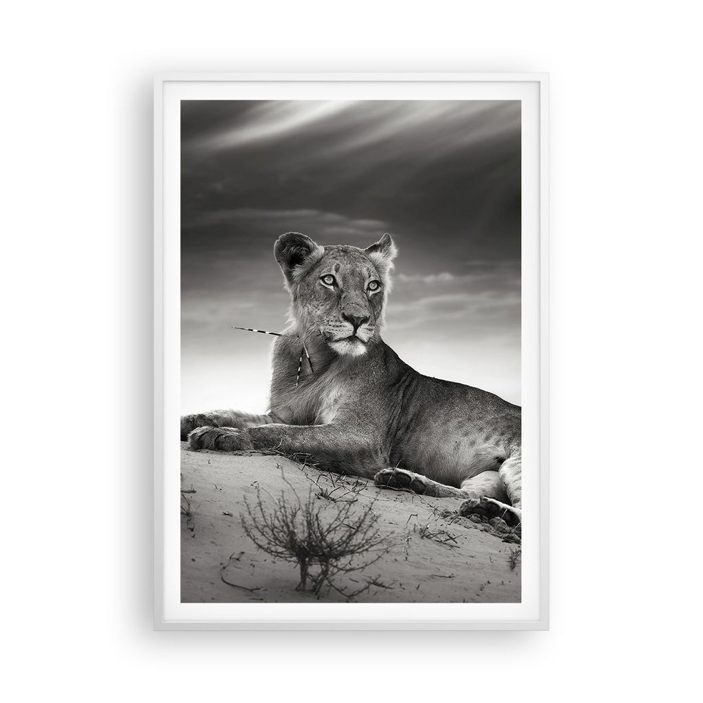 Gerahmtes Poster - Weißer Rahmen - Tierwelt weiblich katze Tier - 70x100 cm - Wand Bild - Wanddeko - Wandbilder - Wandposter - Bilderrahmen - Bild...
