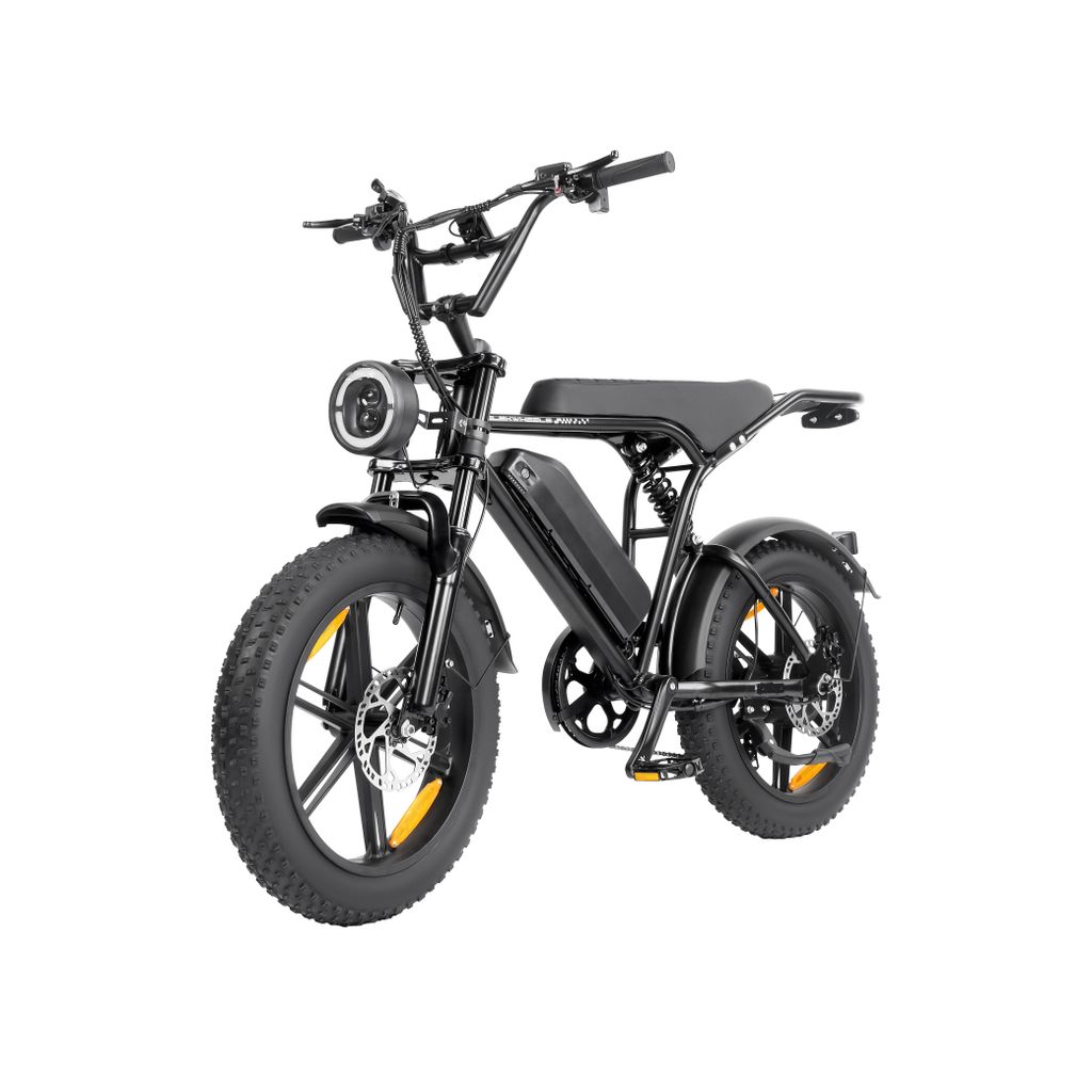 E-Bike Cityrad E6-3.0 Elektrofahrrad 20” x 4 Damen u. Herren Pedelec 720Wh Max.108KM Kettenschaltung, Heckmotor, 720 Wh, Pedelec, Elektrofahrrad