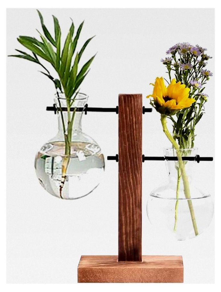 Holz Reagenzglas Vase, Glas Reagenzglas Vasen, Hydroponische Vase mit Holzrahmen, Reagenzglas Blumenvase, Pflanzen Ableger Glas, für Büro und Woh...