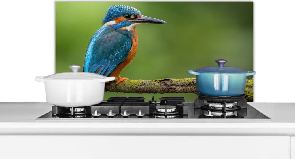 KitchenYeah Spritzschutz Küche - Küchenrückwand - Wandschutz für Herd und Spüle - Eisvogel - Zweig - Moos - Vogel - Grün 80x40 - Alu-Dibon...