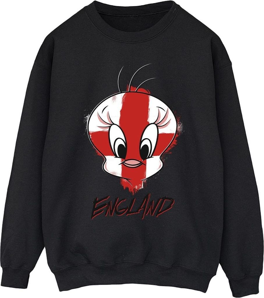Looney Tunes - Sweatshirt für Herren BI49144 (3XL) (Schwarz)