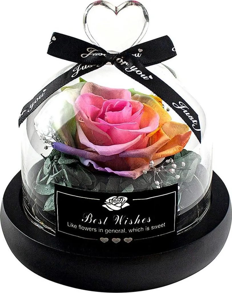 Rose éternelle arc-en-ciel : fleur durable sans aucun entretien