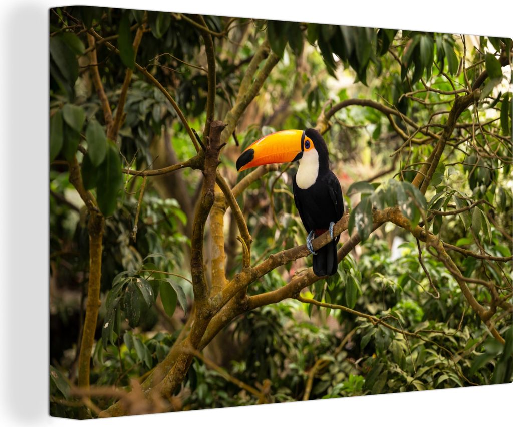 OneMillionCanvasses - Leinwandbilder - 140x90 cm, Vogel - Tukan - Dschungel - Natur - Tropisch, Wandbilder Kunstdruck Wanddekoration - Foto auf L...