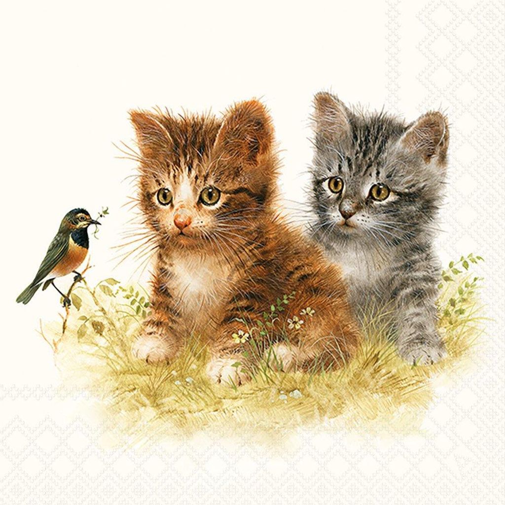 Ambiente Serviette Zwei Kätzchen 33x33 cm Katzenmotiv Tischdeko Servietten 20 Stück