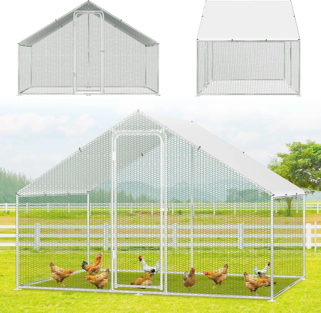 Jayseuw pollaio 3x2x2m Casetta per polli Piccola casetta per animali Recinto per animali piccoli Voliera Recinto per animali liberi Gabbia per polli Casetta per pollame Struttura in acciaio zincato con tetto