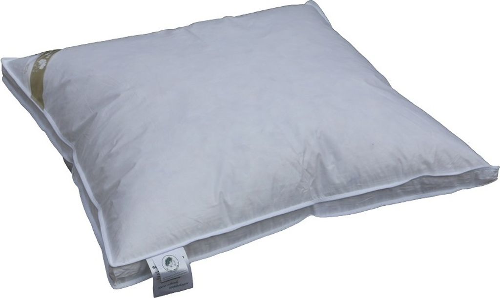 Betten Hofmann Exklusives Daunenkissen Kopfkissen mit Außensteg 80x80 1000g prall 100% Daunen