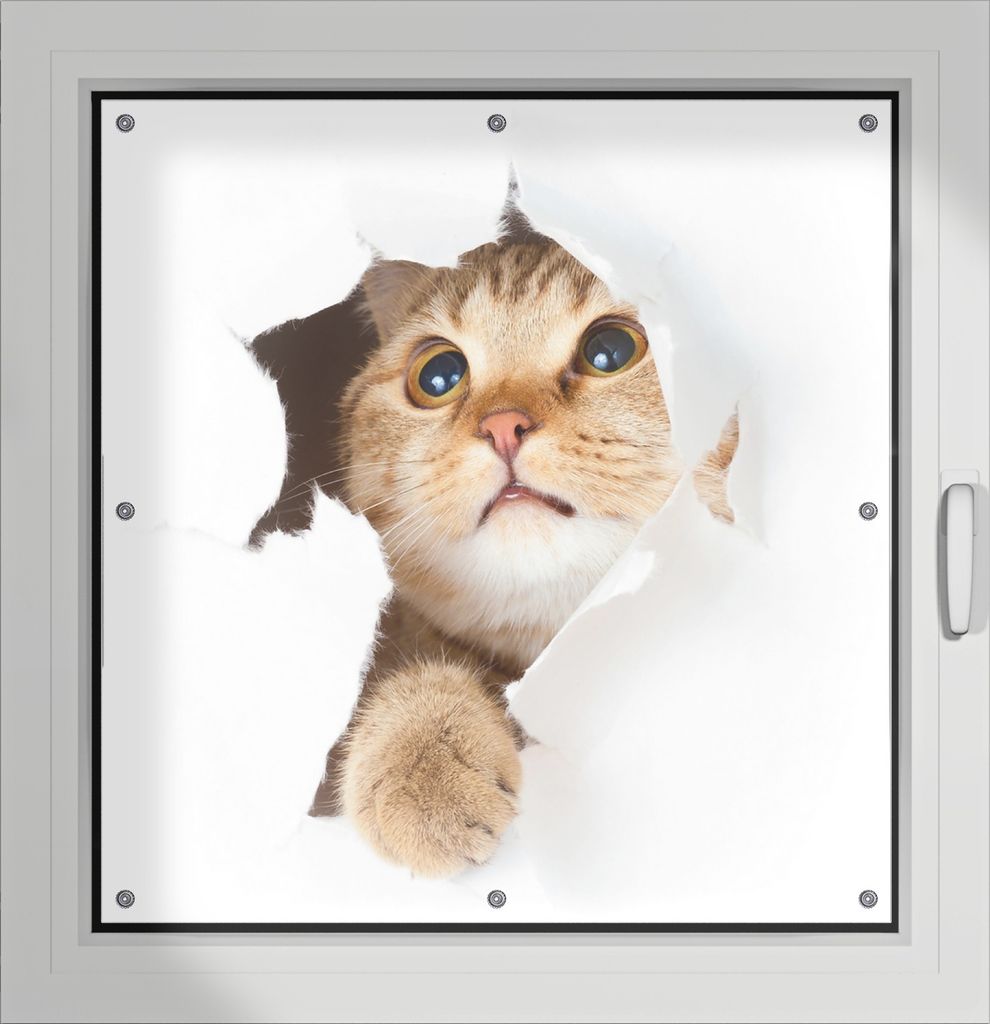 Wallario Lichtschutzbild, Dekorativer Sichtschutz Sonnenschutz 96 x 100 cm mit Motiv: Katze mit Blick nach oben - Verdunklung ohne Bohren