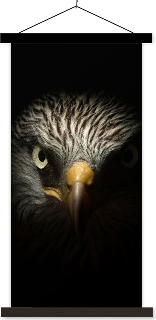MuchoWow Textilposter Vogel - Adler - Raubvögel - Auge - Schnabel - Licht 40x80 cm mit schwarzem Rahmen - Wandemalerei