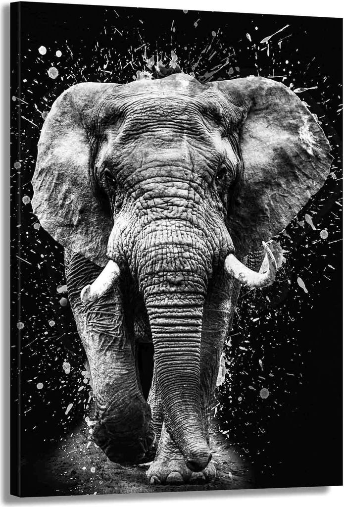 Wandbild Leinwandbild Tiere aus Afrika: 80x120x2cm