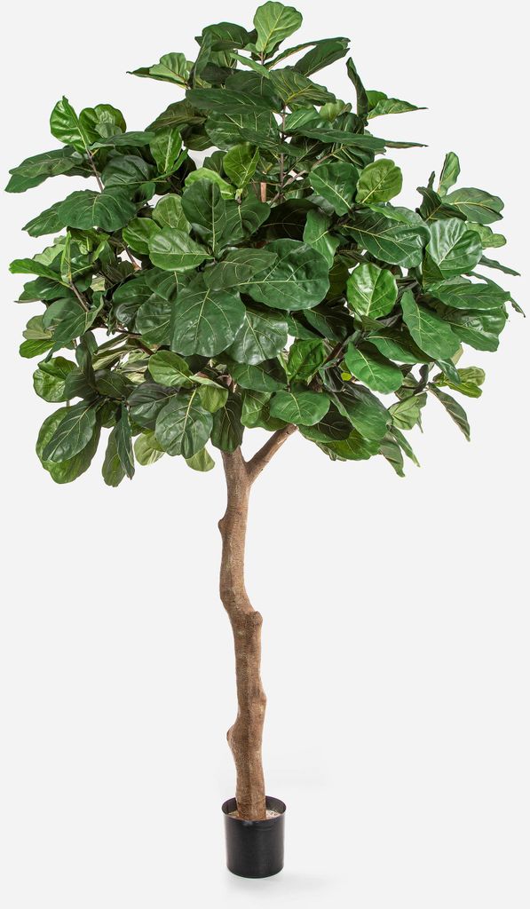 artplants.de Kunst Ficus Lyrata Felton, Kunststamm, grün, 360cm - Deko Ficus