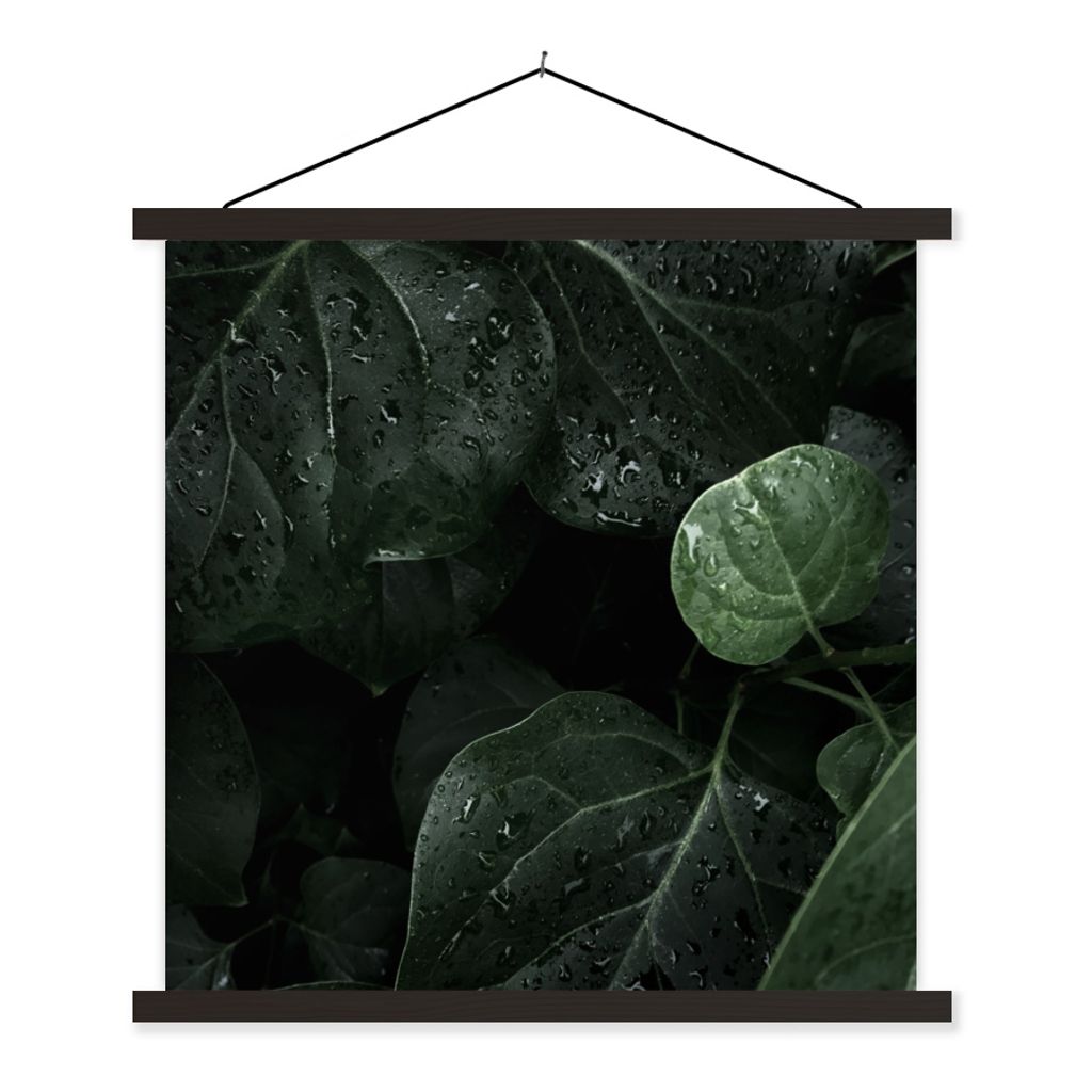 MuchoWow Textilposter Nahaufnahme von Regentropfen auf großen Blättern 40x40 cm mit schwarzem Rahmen - Fotos