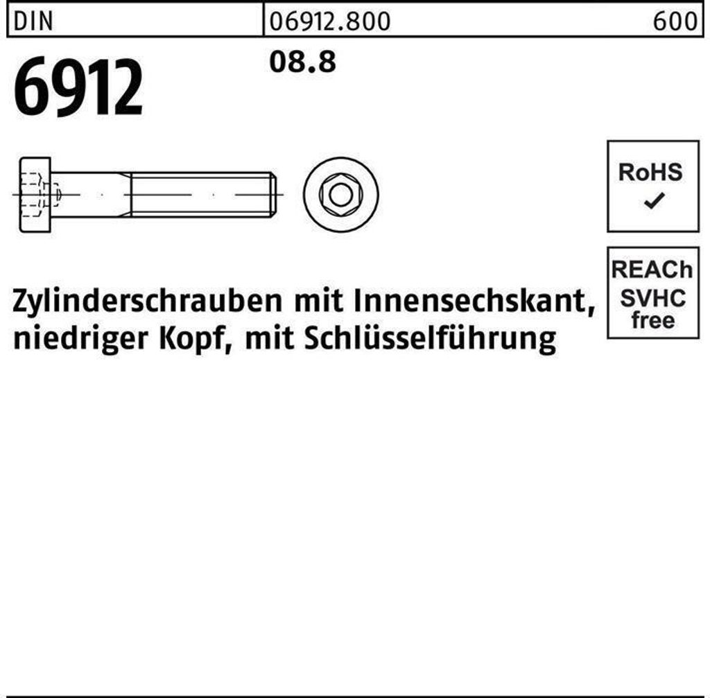 Reyher Zylinderschrauben DIN 6912 08.8 M 6 x 8 (100 Stück)