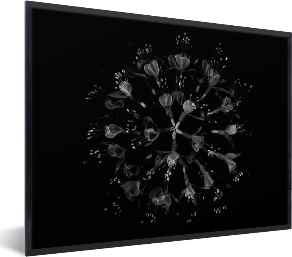 MuchoWow Gerahmtes Poster Blumen - Orange - Rosa - Schwarz 40x30 cm - Poster mit Schwarzem Bilderrahmen Wandposter Rahmen Foto Bilder - Kunstpost...