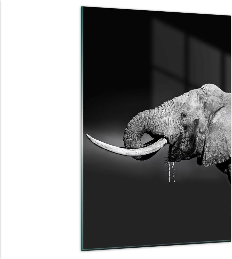 Bilder auf glas - Einteilig - Elefant Stoßzahn Natur - 80x120cm - Glasbilder - Wandbilder - Bilder - zum Aufhängen bereit - Wanddekoration aus Gl...