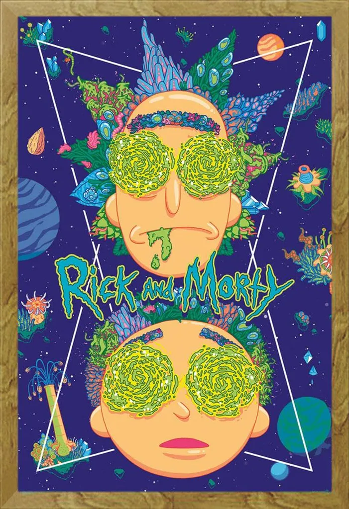 Offerta Poster Rick & Morty + Cornice Shinsuke Rovere Vetro Acrilico