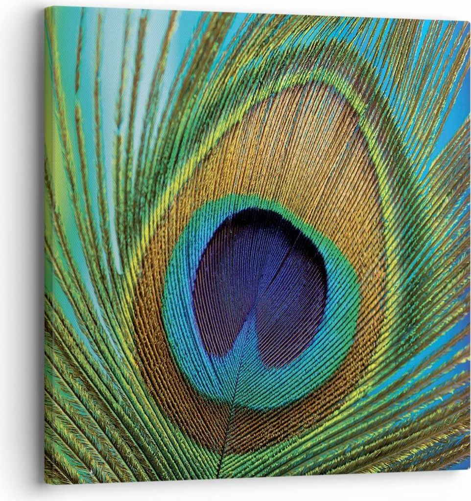 Bild auf Leinwand - Leinwandbild - Einteilig - Pfauen Federn Regenbogen - 30x30cm - Wand Bild - Wanddeko - Wandbilder - Leinwanddruck - Bilder - Wa...