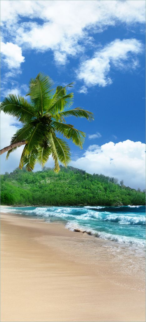 Türtapete Türposter Urlaub auf den Seychellen unter Palmen am Sandstrand - Größe: 93 x 205 cm