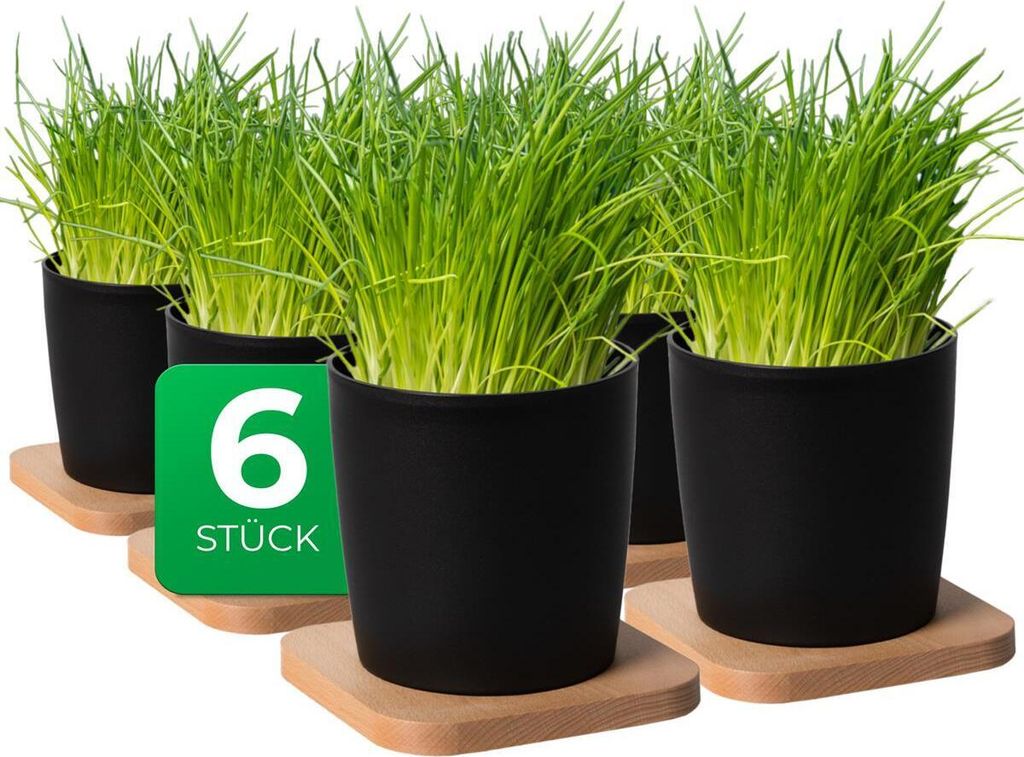Novaliv Stilvolle 6er Set Kräutertopf mit Holzunterlage für jede Fensterbank, Für frische Küchenkräuter, Kräutergarten für die küche, Kräu...