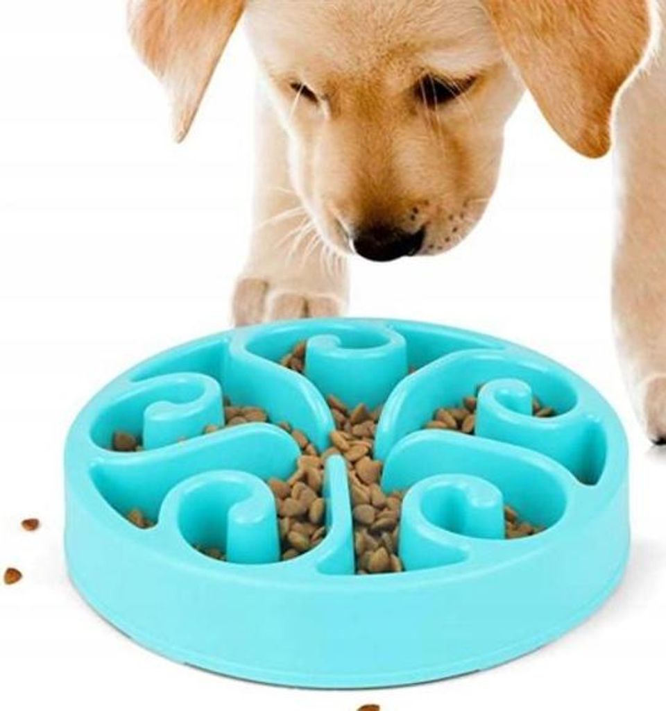 Großer Hundenapf für langsames Hundefutter, XXL, 500 ml