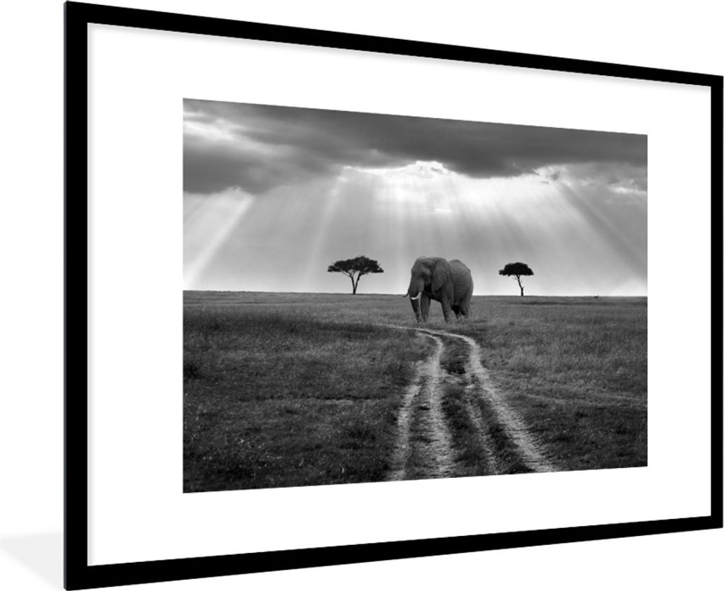 MuchoWow Gerahmtes Poster Sonnenschein auf einem Elefanten in einem Naturschutzgebiet - schwarz und weiß 90x60 cm - Poster mit Schwarzem Bilderr...