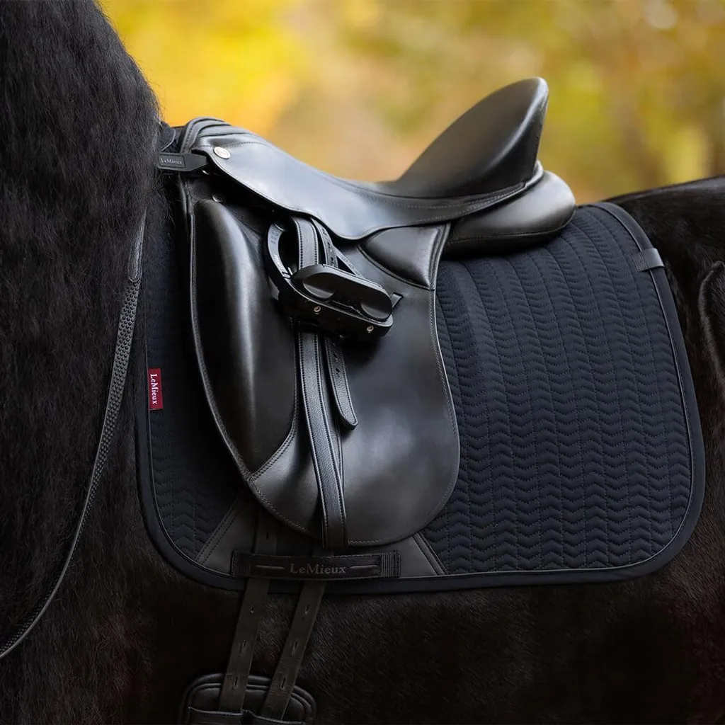 Tapis LeMieux Essence Noir L : évite les frottements et la surchauffe