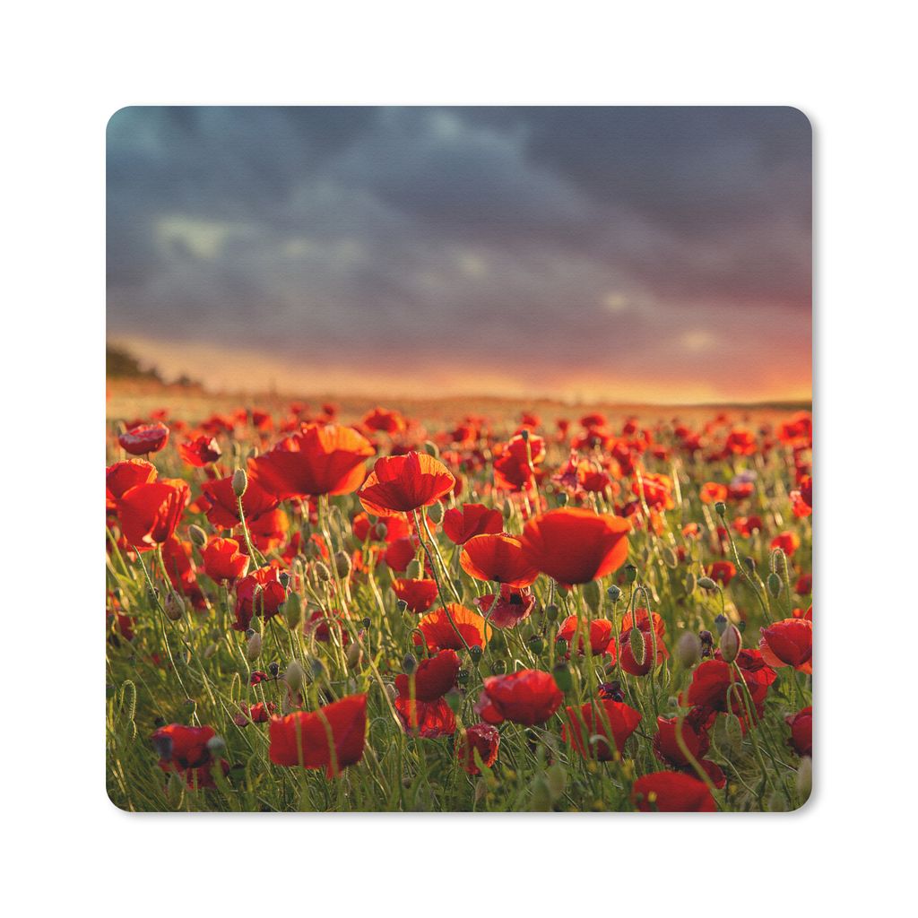 MuchoWow Mauspad Mousepad Sonnenuntergang über einem Feld von Mohnblumen 30x30 cm - Mousepads - Maus Mat - Pad - Mausunterlage - Gaming