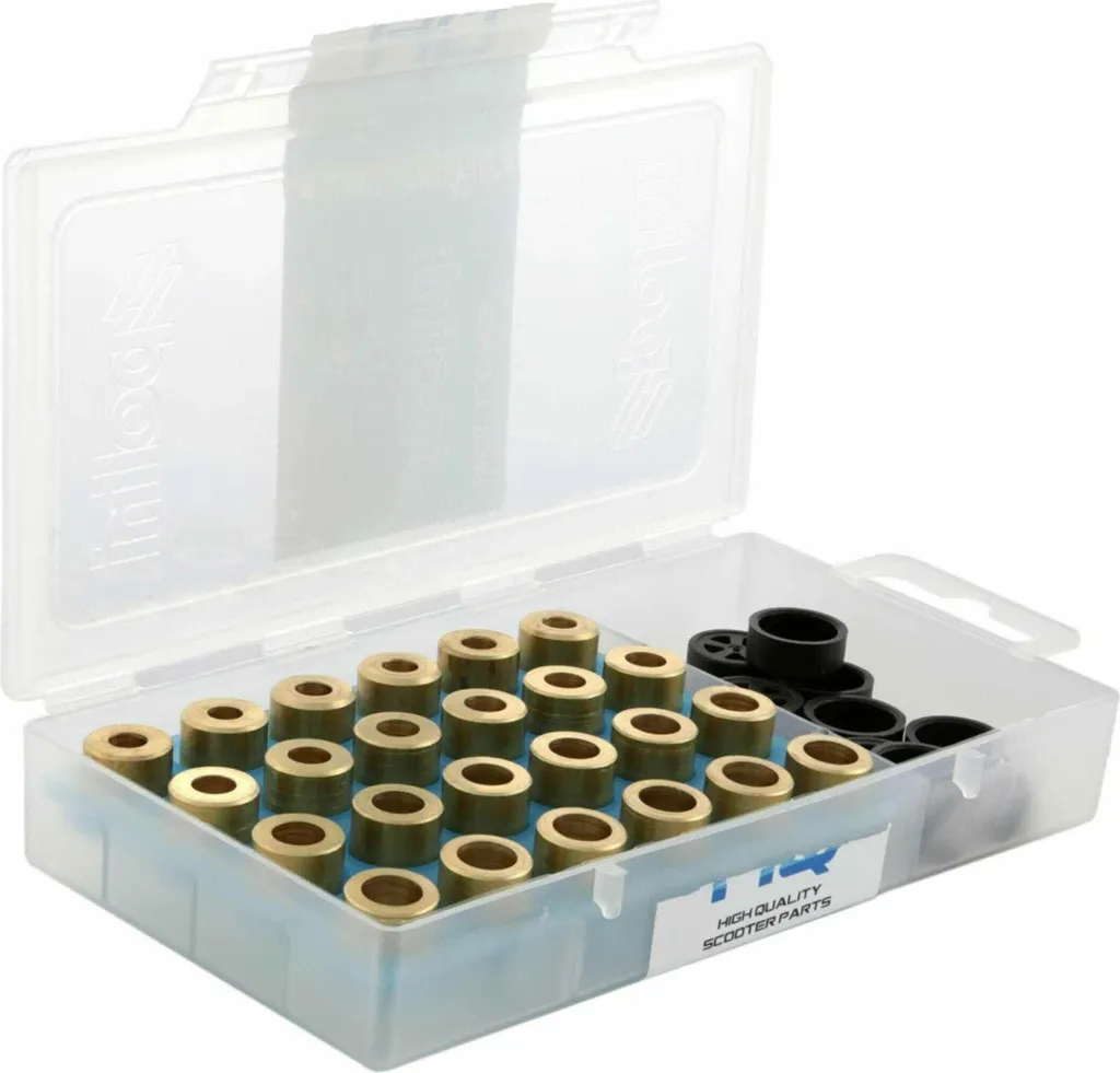 Polini 242.XXX Rulli Variatore 19x15,5mm - Alta Densità per Maxiscooter - 2