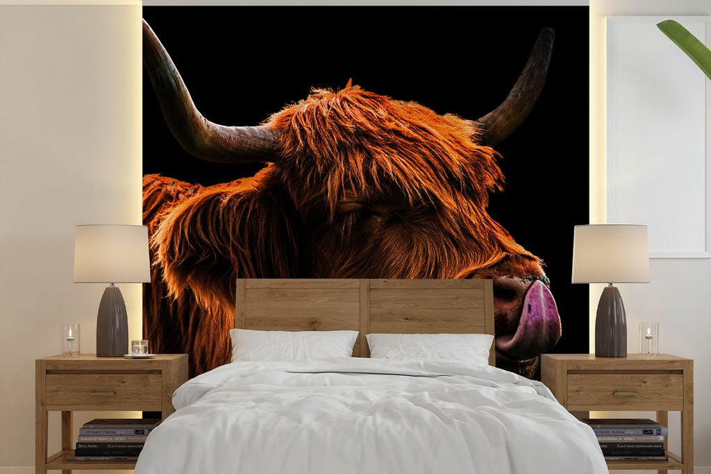 MuchoWow Fototapete für Wohnzimmer oder Schlafzimmer Wandtapete Vinyl Motivtapete Schottischer Highlander - Zunge - Nase - 300x300 cm - Wanddeko...