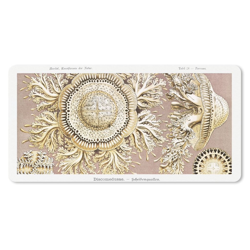 MuchoWow Mauspad Mousepad Jahrgang - Ernst Haeckel - Qualle - Kunst 60x30 cm - Mousepads - Maus Mat - Pad - Mausunterlage - Nachhaltig