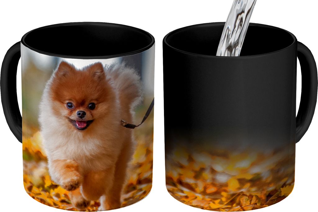 MuchoWow® Kouzelný pohár Pomeranian v listech 350 ml Barva Obrázek produktu 