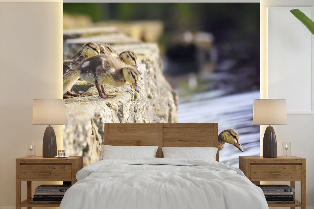 MuchoWow Fototapete für Wohnzimmer oder Schlafzimmer Wandtapete Vinyl Motivtapete Enten - Steine - Küken - 240x240 cm - Schlafzimmer-Tapete