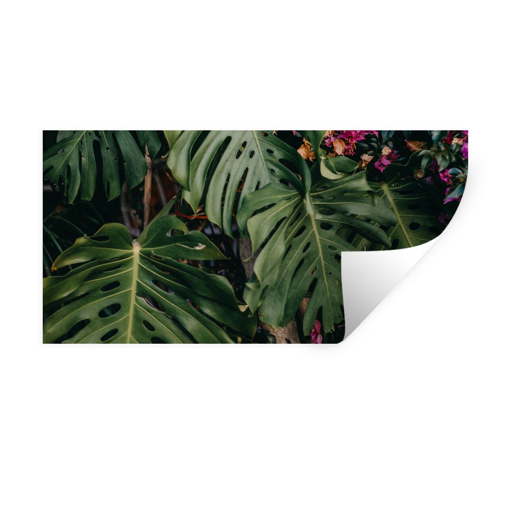 MuchoWow Wandtattoo Wandsticker Wandaufkleber Grüne Monstera mit rosa Blüten 80x40 cm Selbstklebend und Repositionierbar - Aufkleber
