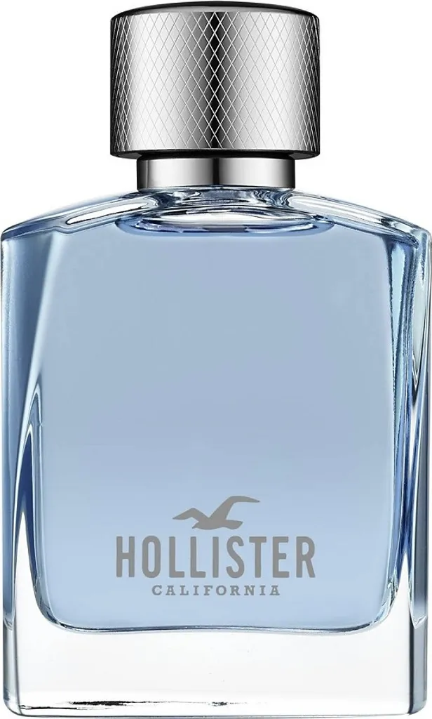 Eau de Toilette Hollister Wave For Him 50ml - Parfum Masculin Boisé Frais