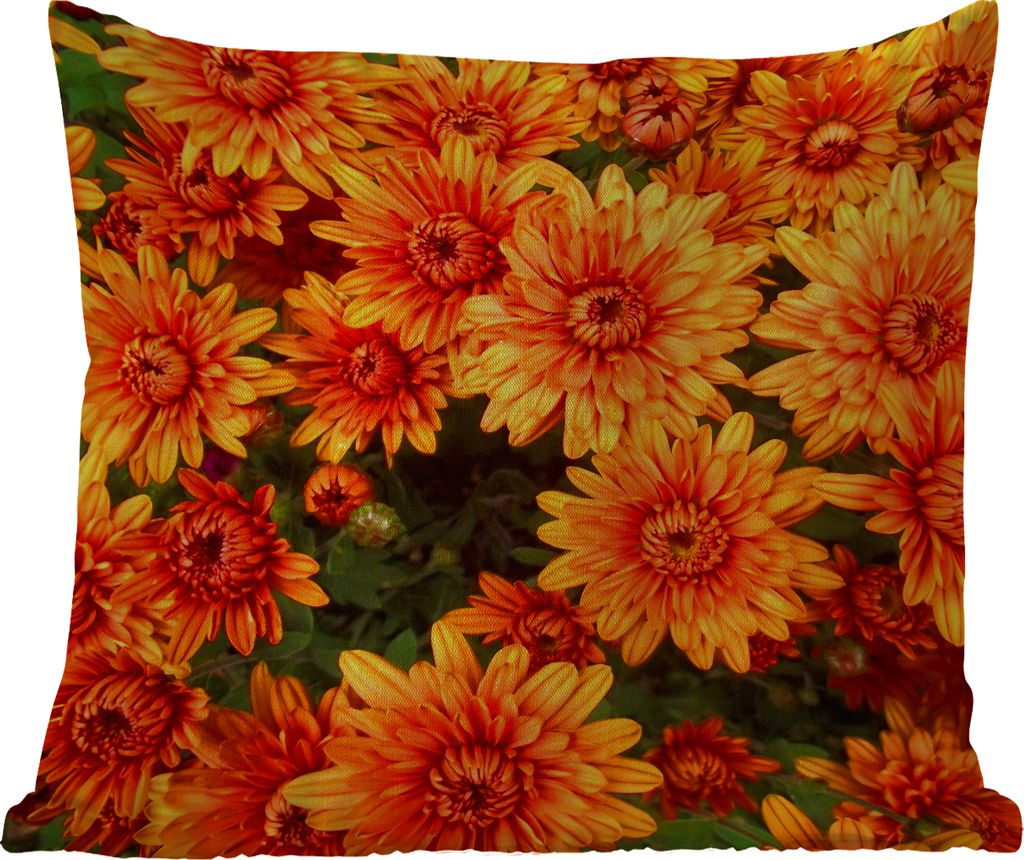 MuchoWow Outdoor Kissen - Blumen - Orange - Chrysantheme - 50x50 cm - Wetterfest - Lounge Kissen - Komfortabel - Kissen mit Bild