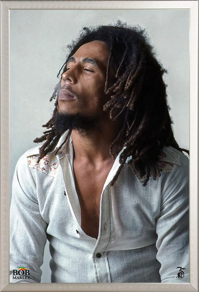 Quadro Bob Marley Redemption 61x91 Cornice Alluminio Shinsuke Silver