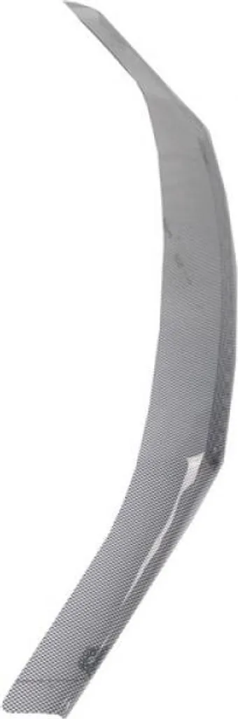 Capuche garde sable déflecteur de capot Duster et Terrano carbone - 3