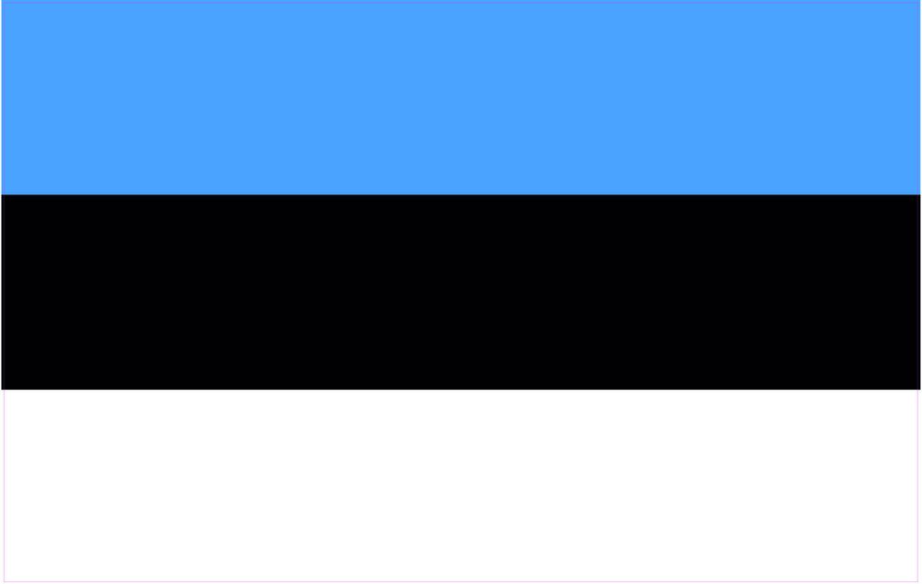Kiwistar WANDTATTOO Sticker Fahne Flagge Aufkleber Estland 60 x 38cm - Dekoration für Kinderzimmer Schlafzimmer Wohnzimmer Küche Badezimmer