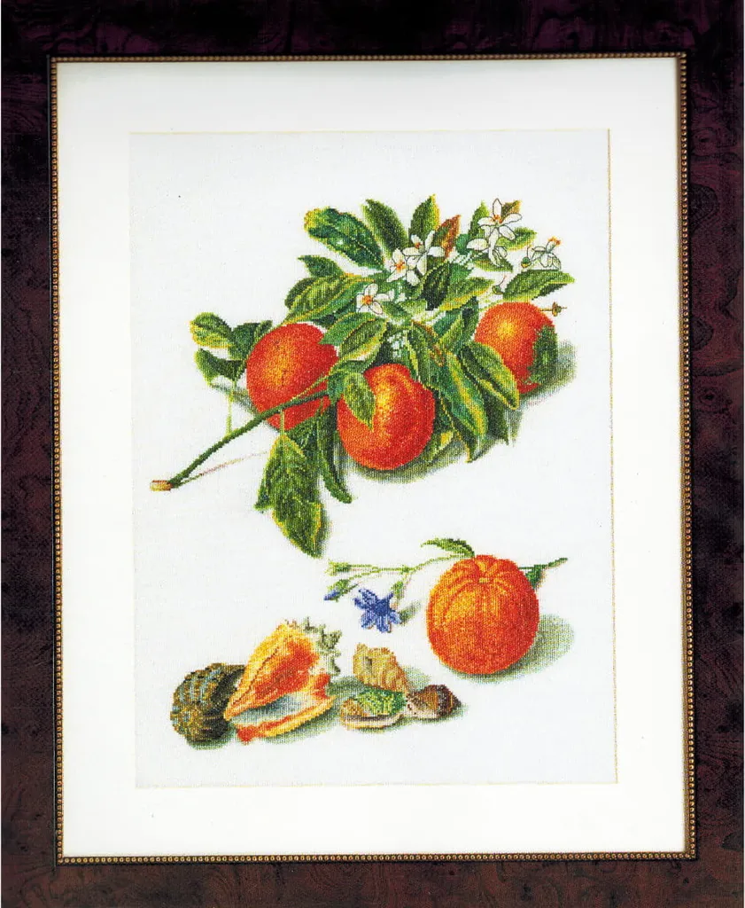 Réussir sa Broderie de Fruits avec le Kit Aida Oranges Thea Gouverneur