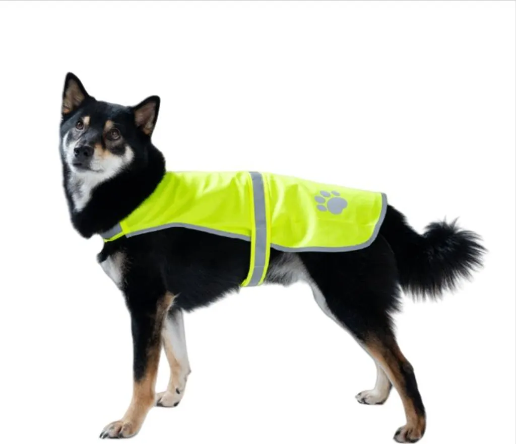Gilet Catarifrangente Cane XL INF Verde - Outdoor e Trekking Sicuro