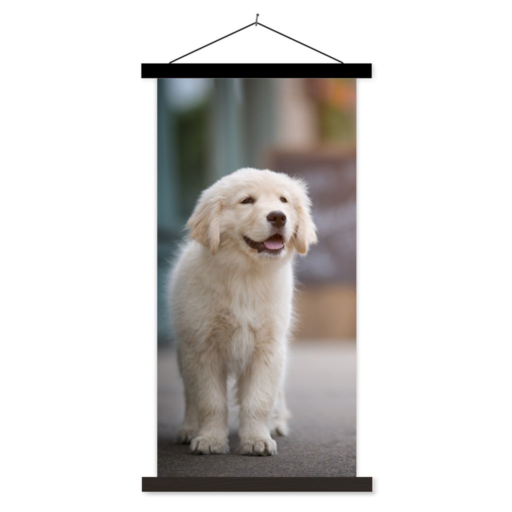 MuchoWow Textilposter Ein Golden Retriever Welpe läuft auf dem Bürgersteig 40x80 cm mit schwarzem Rahmen - Wandemalerei