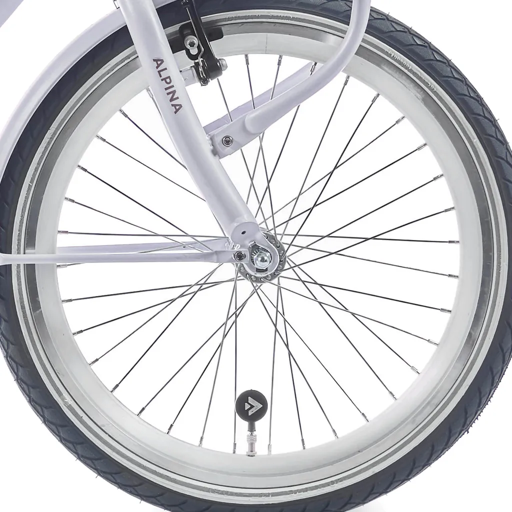 Roue Alpina 20 HLQC Ocean Clubb avec rayons SPK et moyeu argenté durable