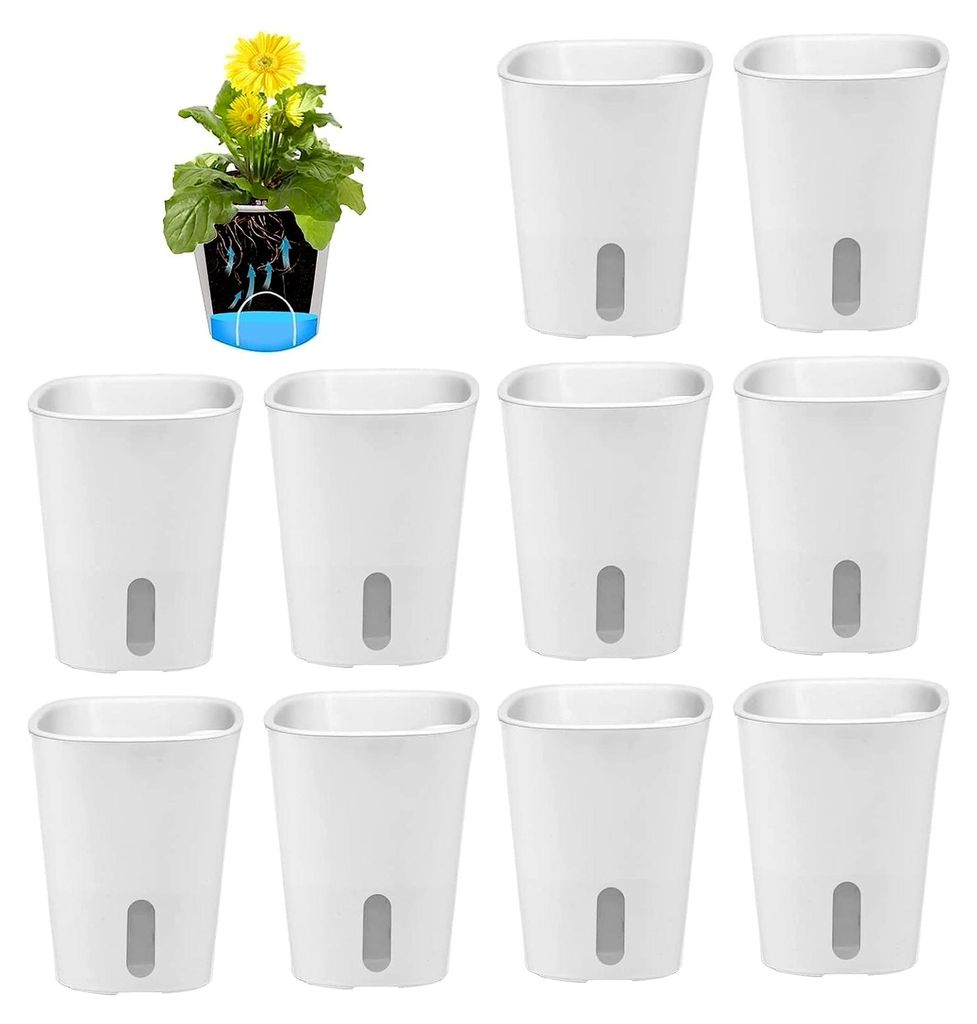 10er Set Selbstwässernder Blumentopf, Plastik Kaktus Pflanze Töpfe Mini Blumentöpfe mit Dochtsystem, Kleine Blumentöpfe für Zimmerpflanzen Run...