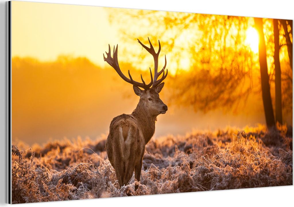 MuchoWow Wanddekoration Metall Metallbild Wandkunst 80x40 cm Hirsche - Tiere - Sonnenuntergang - Winter - Heidekraut - Natur MuchoWow Aluminium Gem...