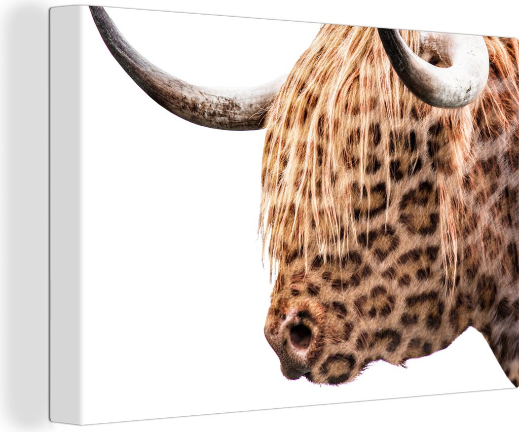 OneMillionCanvasses - Leinwandbilder - 150x100 cm, Schottisches Hochlandrind - Pantherdruck - Weiß, Wandbilder Wohnzimmer Hochland Rind - Tier W...