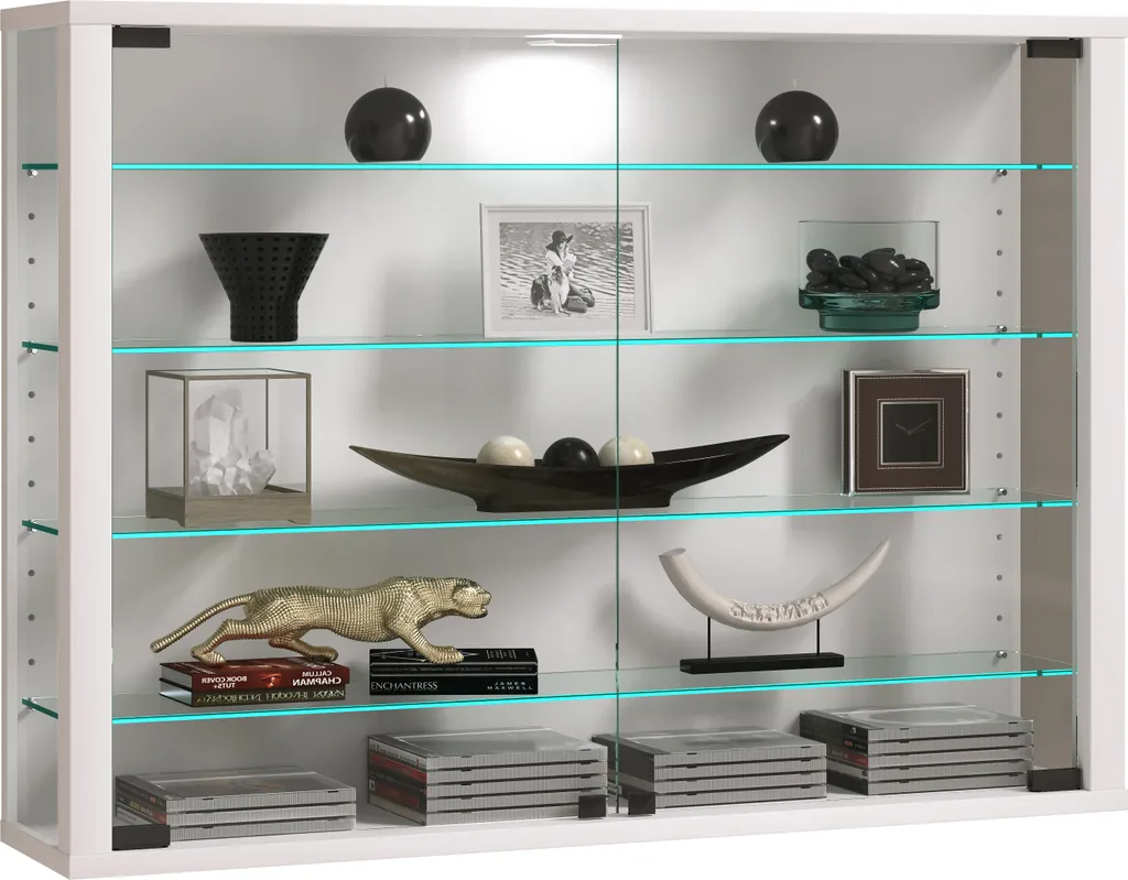 Protégez vos collections avec la vitrine murale Vitrosa L anti-poussière