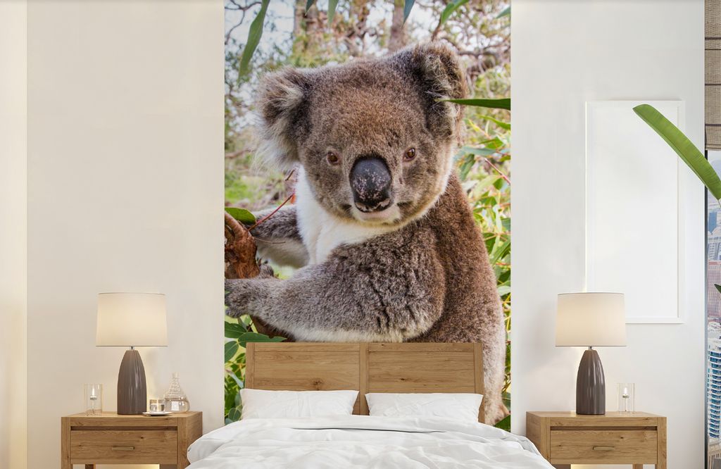 MuchoWow Fototapete für Wohnzimmer oder Schlafzimmer Wandtapete Vinyl Motivtapete Koala - Baum - Blätter - Kinder - Jungen - Mädchen - 120x240...